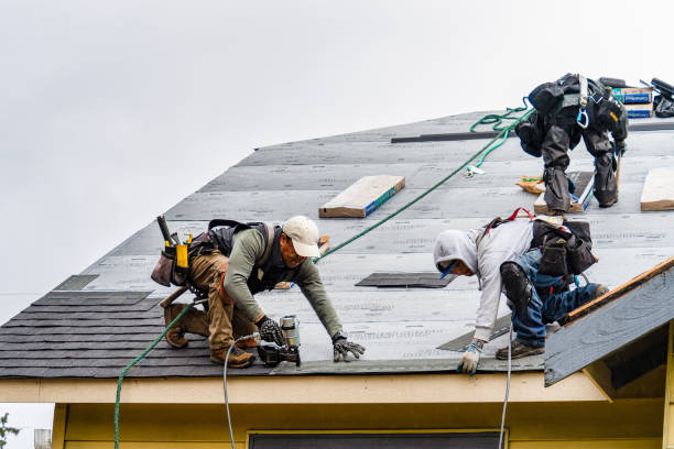 Professional Gutter Installation technician working in Shiloh, TN